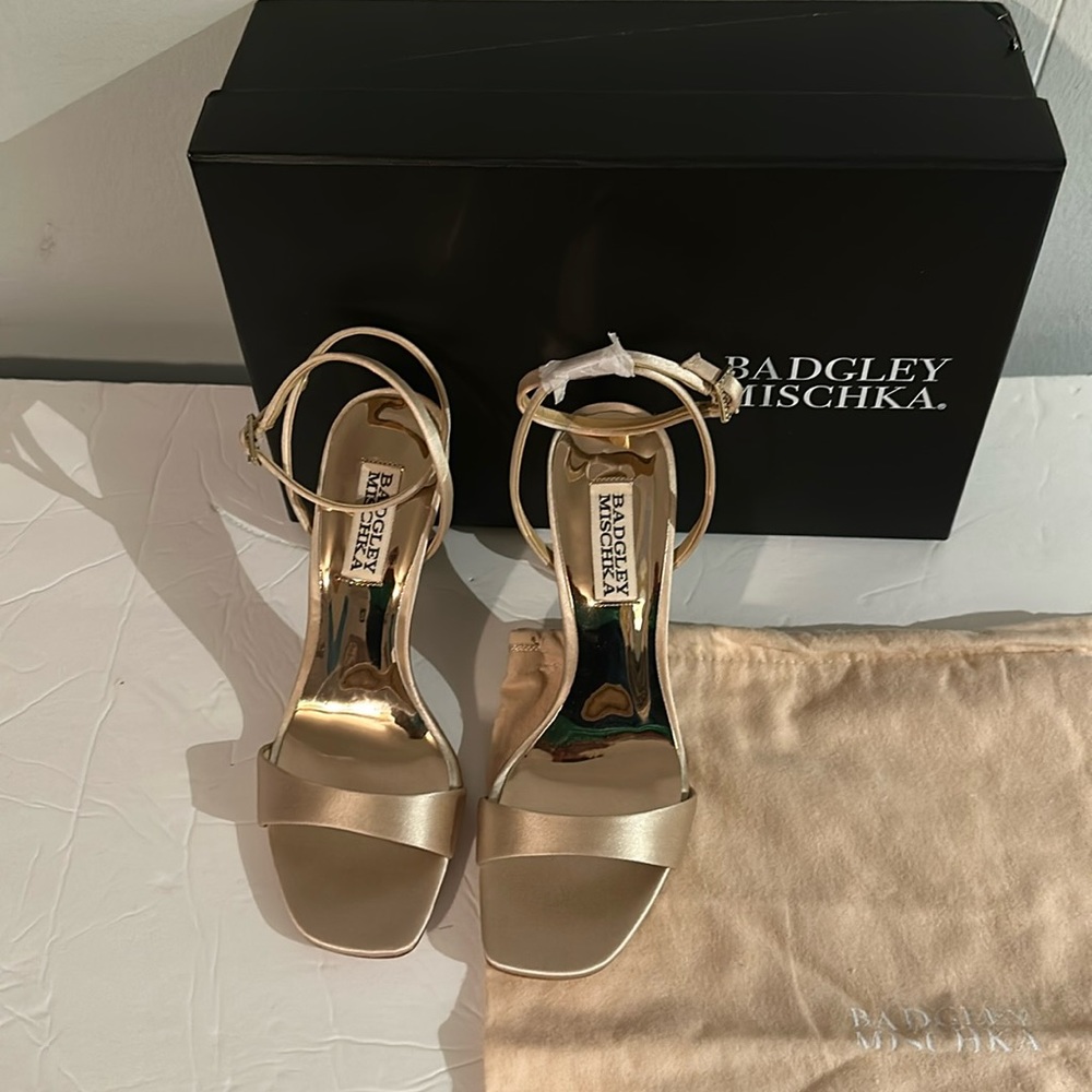 BADGLEY MISCHKA Ankle Strap Ivette Sandals size 5.5